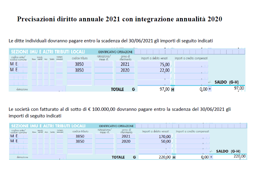 precisazioni_diritto_annuale_2021.png