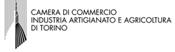 CamCom Torino - Logo.png (8 Kb)